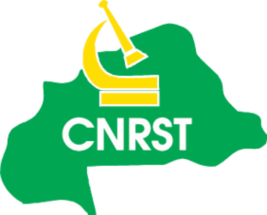 Revue Science et Technique